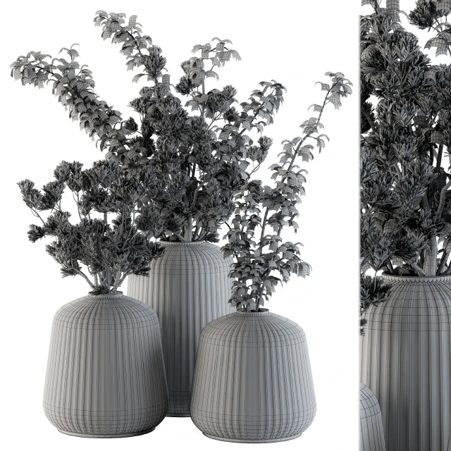 Bouquet Set 16 - Dried Plants — Descargar