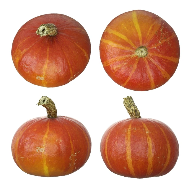 Pumpkins — Descargar