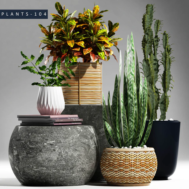 PLANTS 104 — Descargar