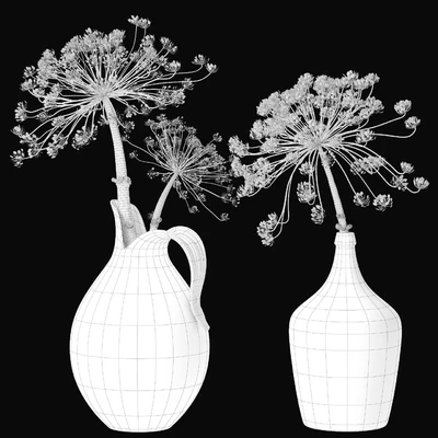 Old heracleum 2 — View 3