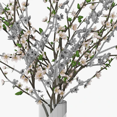 Plum blossom 03 — Вид 3