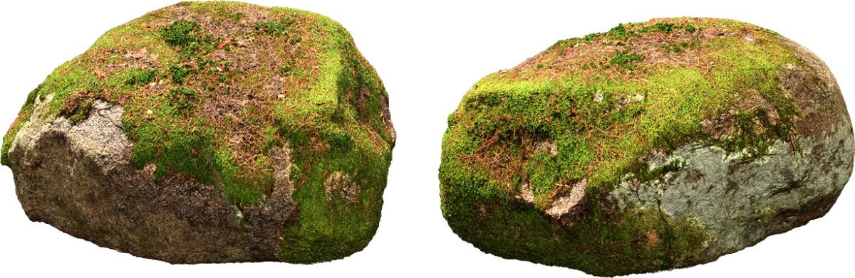 nordic forest rock moss medium 002 — Descargar