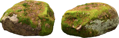 nordic forest rock moss medium 002 — Descargar