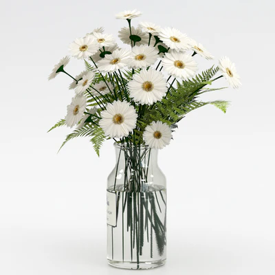 Bouquet with camomiles. — Ver 3