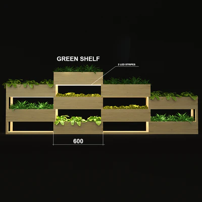 green shelf — View 2