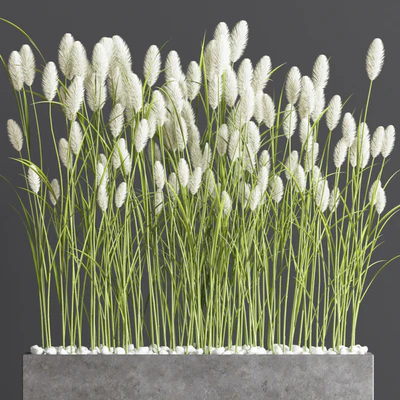 Indoor Plant Set 66 — Вид 6