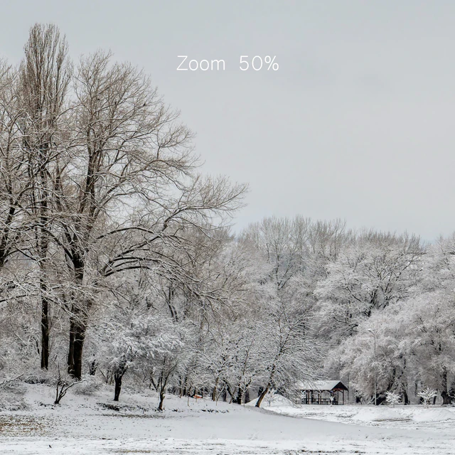 Panorama of the park with a lake and snow-covered trees. 45k — Download