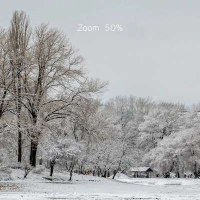 Panorama of the park with a lake and snow-covered trees. 45k — View 5