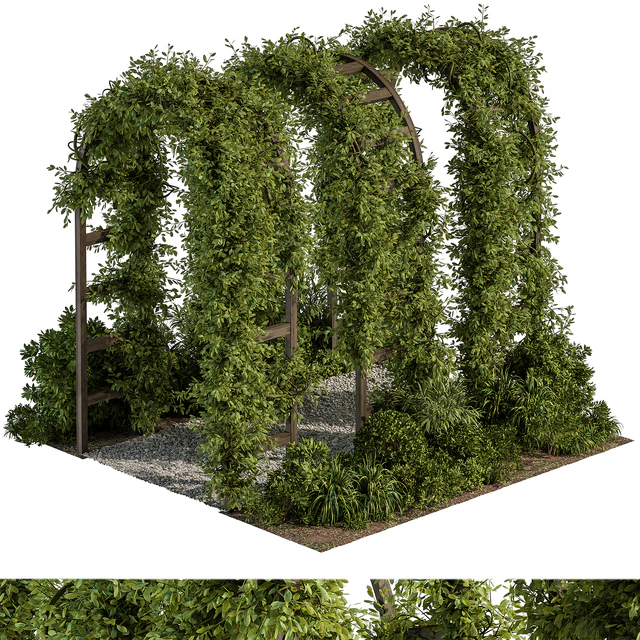 Backyard and Landscape Furniture Pergola and Plant - Set 61(Corona) — Descargar