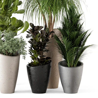 Indoor Plants in rusty Concrete Pot - Set 240 — Ver 5