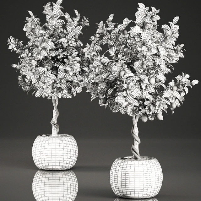 A beautiful small decorative Lemon tree in a round basket of rattan, citrus, lemons. Set 637. — Descargar