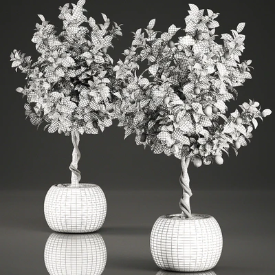 A beautiful small decorative Lemon tree in a round basket of rattan, citrus, lemons. Set 637. — Ver 5