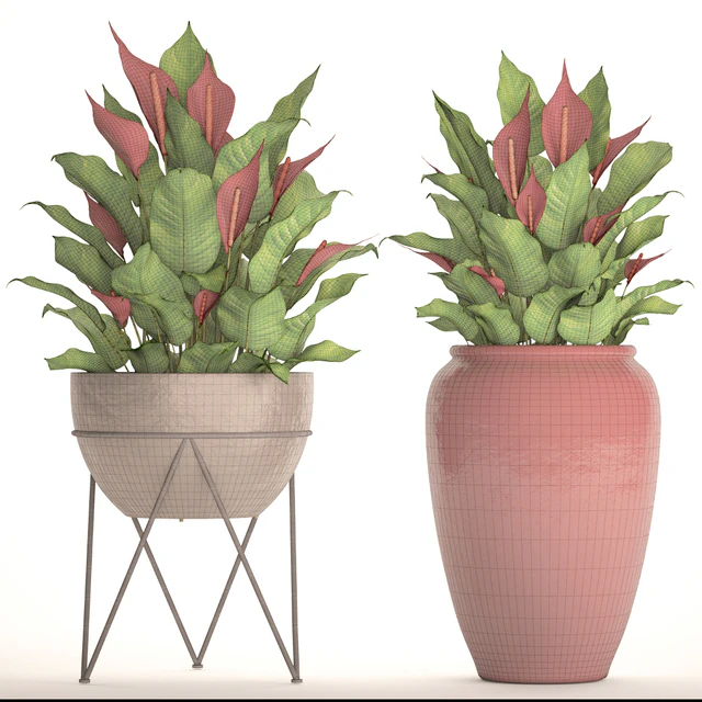 A collection of plants in pots. 55. RED, Spathiphyllum, Spathiphyllum, red, decorative, flower, pot, flowerpot, bush, office plants — Descargar