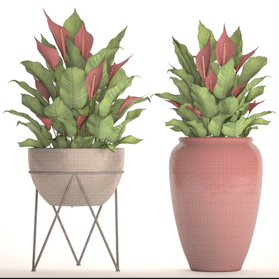 A collection of plants in pots. 55. RED, Spathiphyllum, Spathiphyllum, red, decorative, flower, pot, flowerpot, bush, office plants — Ver 2