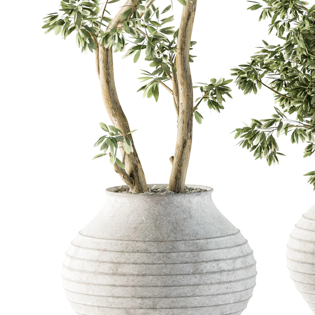 Outdoor Plants tree in Concrete Pot - Set 89 — Descargar