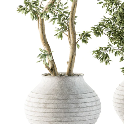 Outdoor Plants tree in Concrete Pot - Set 89 — Ver 4