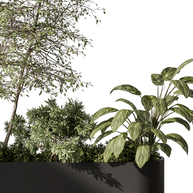 Plant Box - Outdoor Plants 515 — Скачать