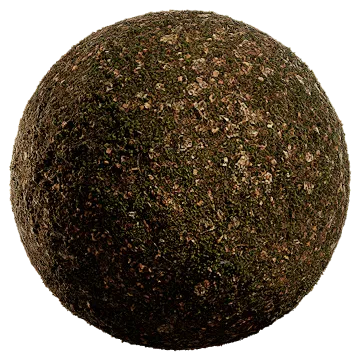 nordic forest ground moss leaves coarse 001 — Скачать