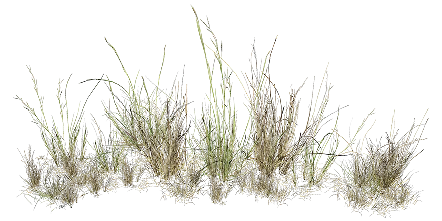 quarry slate grass thatching common set 001 — Скачать