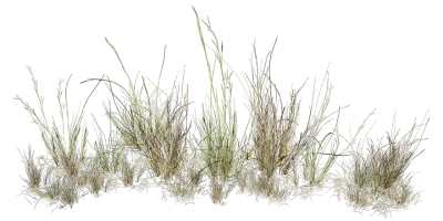 quarry slate grass thatching common set 001 — Скачать