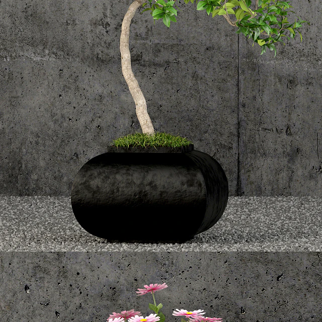 Plants collection 61 — Скачать