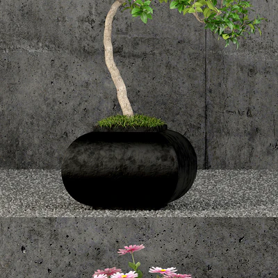 Plants collection 61 — Вид 2