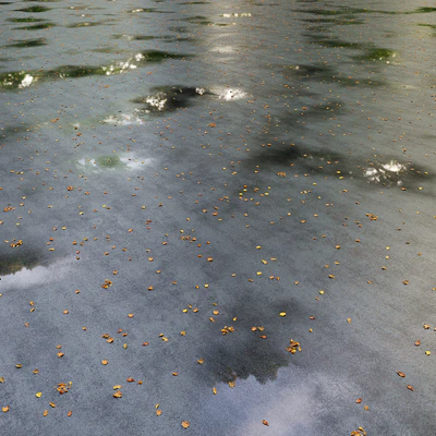 Wet asphalt with leaves. Autumn. Editable — Ver 4