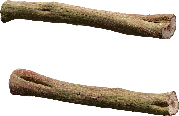 juniper branch 001 — Скачать