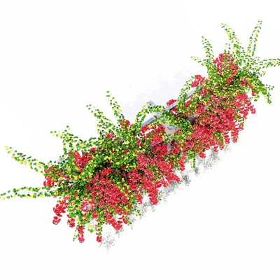 Bougainvillea — Ver 3