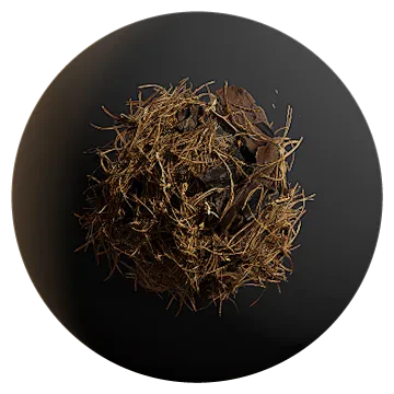 pine debris 007 — Скачать