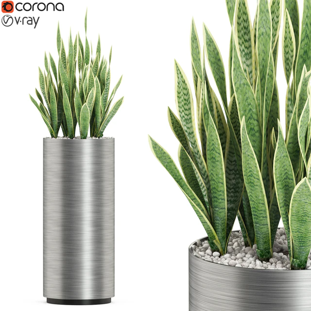 Plants collection 506 — Скачать