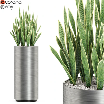 Plants collection 506 — Вид 1