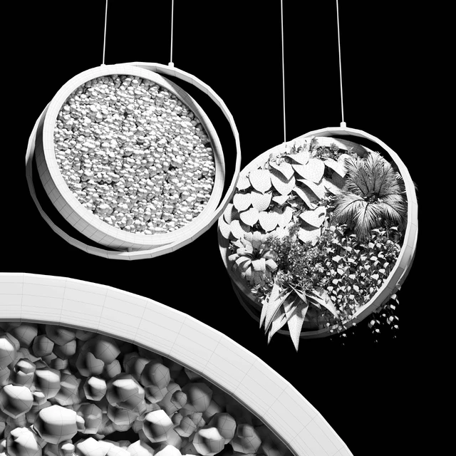 hanging garden and hanging moss in wooden frame 218 — Descargar