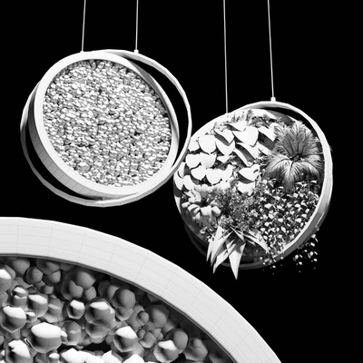 hanging garden and hanging moss in wooden frame 218 — Ver 4