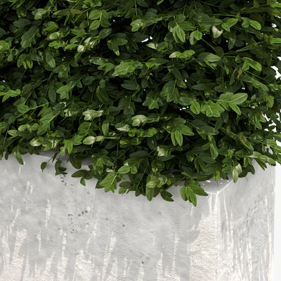 Hedge white plantere — Ver 2