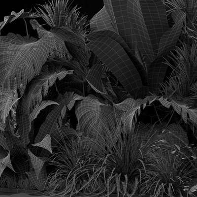 Plants collection 445 — Ver 3