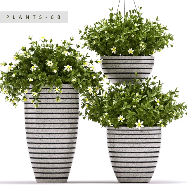 PLANTS 68 — Descargar