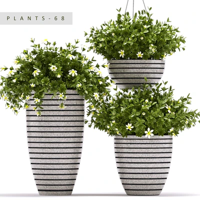 PLANTS 68 — Descargar