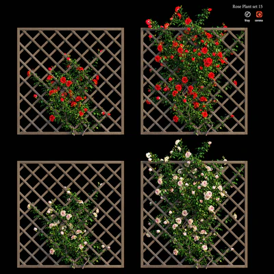 Rose plant set 15 — Вид 2