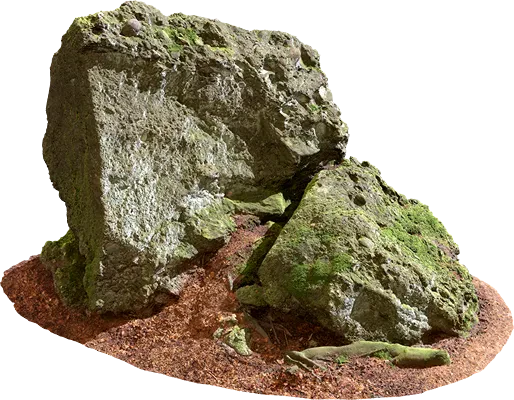 mossy forest rock 012 — Descargar
