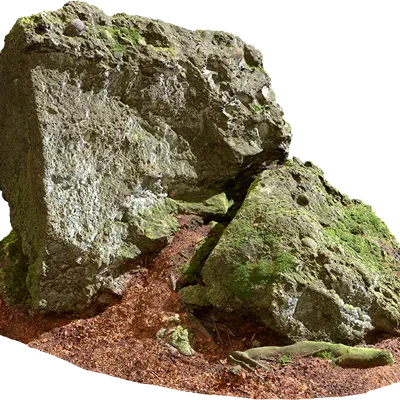 mossy forest rock 012 — Descargar