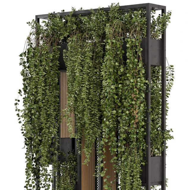 Indoor Hanging Plants in Metal Stand - Set 1005 — Descargar