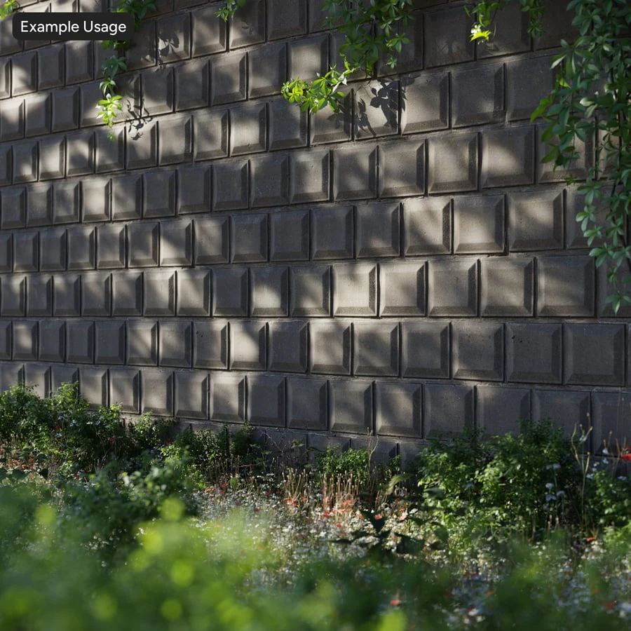 zoom