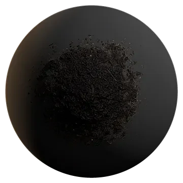 forest floor compost 001 — Descargar