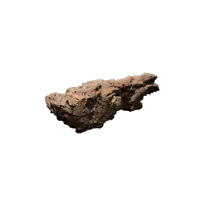tree bark piece 001 — Скачать