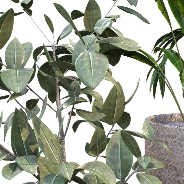 plant in vase collection set 214 — Descargar