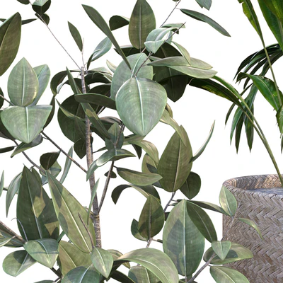 plant in vase collection set 214 — Ver 5