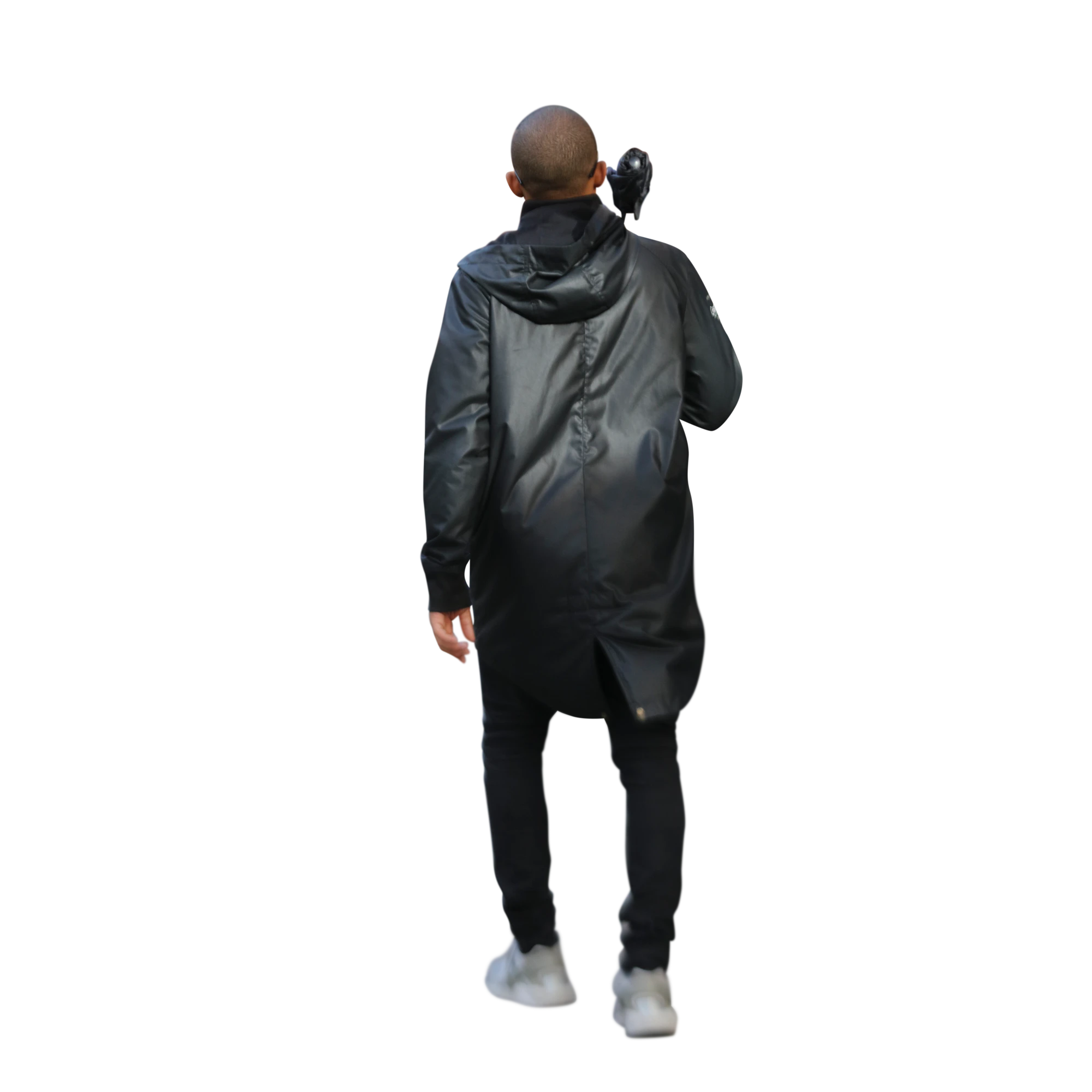 3629 — Скачать