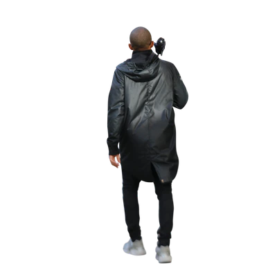 3629 — Скачать