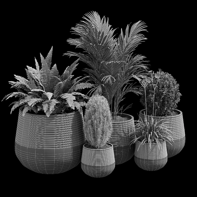Fiber — Descargar